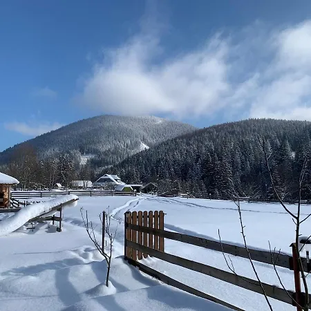наш Our Holiday home Verkhovyna