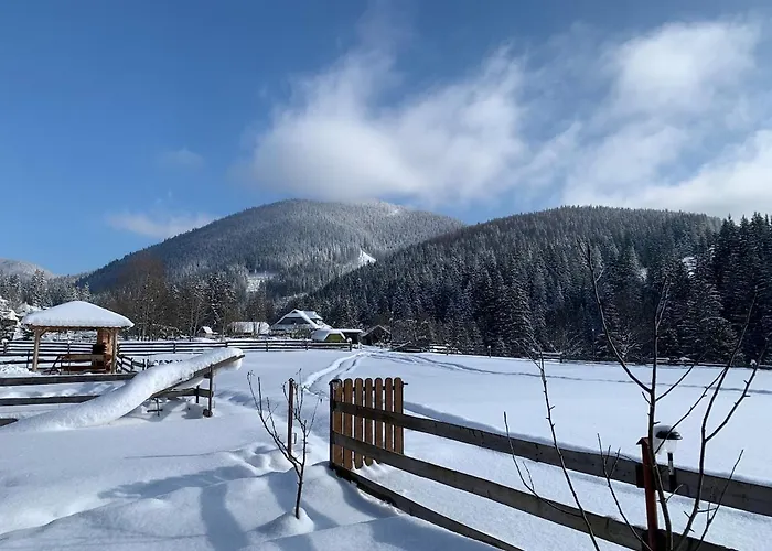наш Our Vakantiehuis Verkhovyna